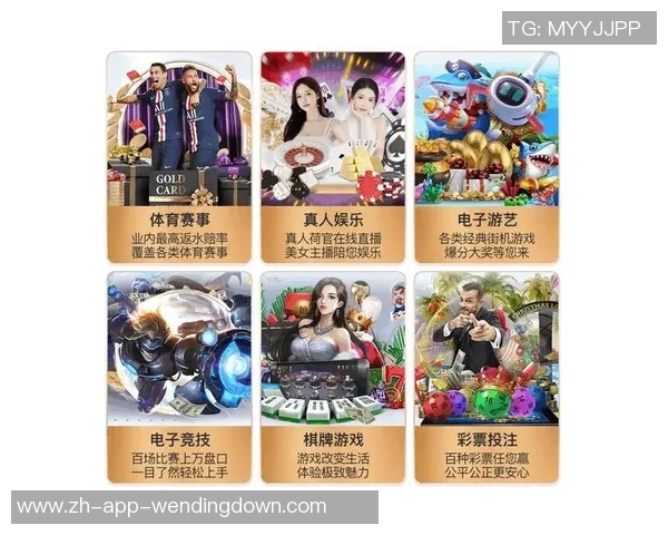 问鼎娱乐怎么代理-二、市场调研与定位分析-问鼎娱乐怎么代理